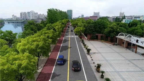 不再堵堵堵 永康對這些路段進行大改造,有你家門口嗎