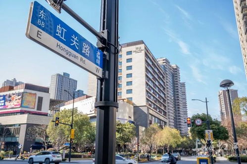 精品道路之虹口魅力行 探訪七條高顏值馬路及其設施亮點