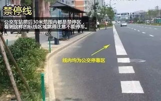 揚(yáng)州車主注意 亂停車不僅罰款，這些行為12分很快扣光