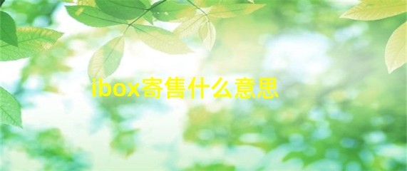 iBox 寄售服務(wù)解析 什么是受托寄賣？